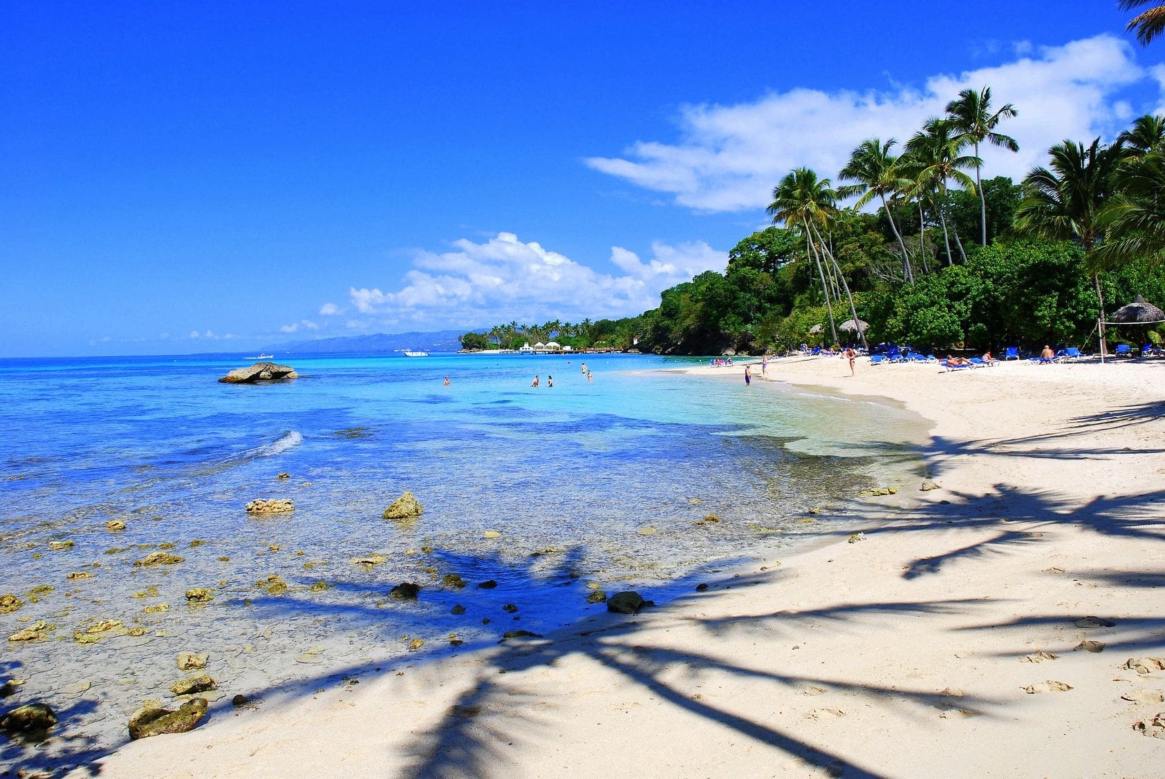 A beach with palm trees and blue water